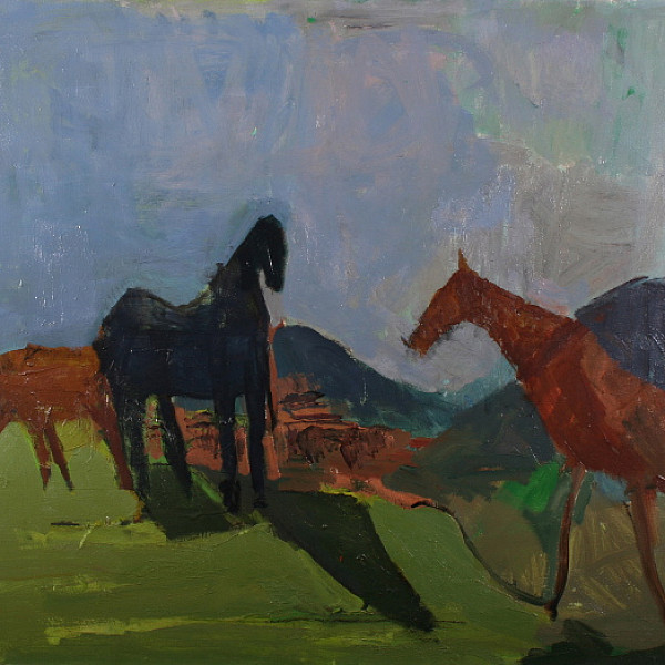 Horses & Eildons