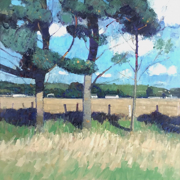 Angus Landscape, Panmure