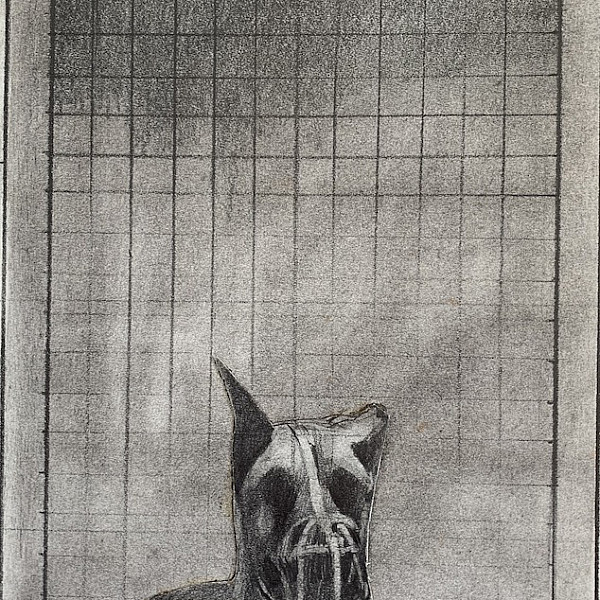 Study for Ulster Dog (Drawing) (1981)