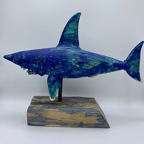 Blue Shark (Large)