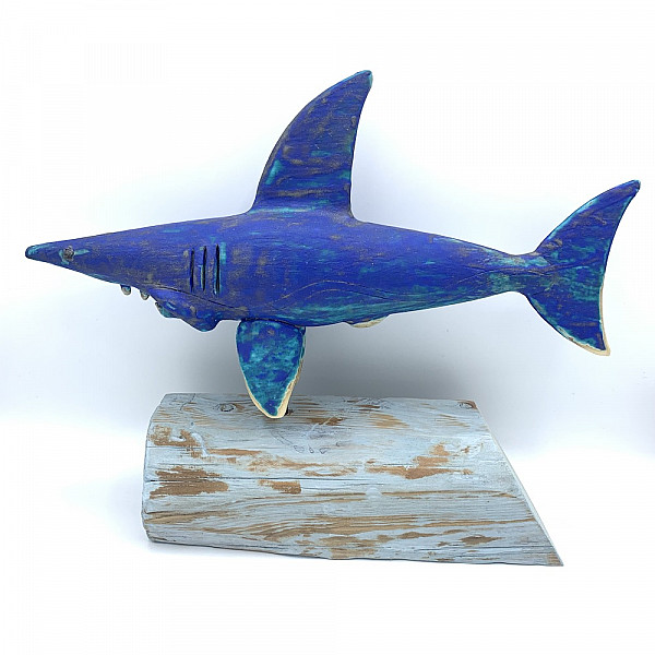 Blue Shark (Medium)