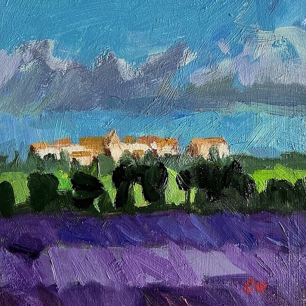 Lavender Fields