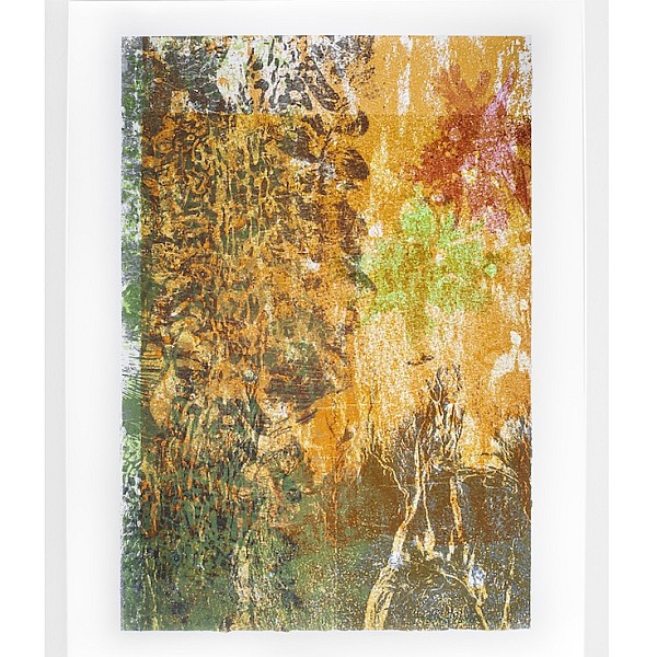 Ghostly Kelp Traces (Orange)