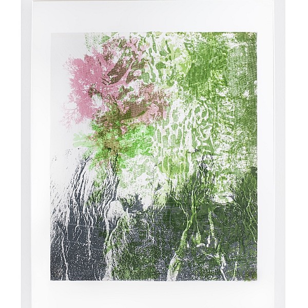 Ghostly Seaweed Traces (Pink)