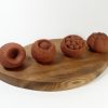 Ailsa Magnus - Fruit Forms