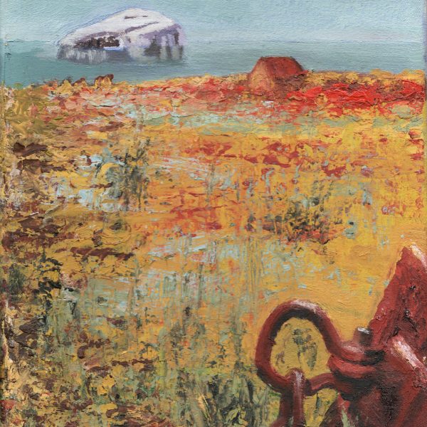 Allan J Robertson - From the Sea Cliffs