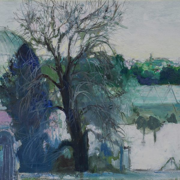 Ann Oram - Glasshouses Under Snow, Botanics