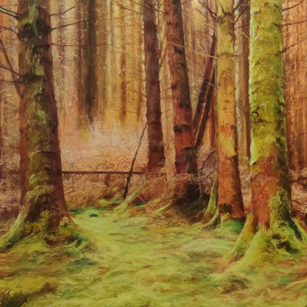 Gordon M Scott - The Forest of Garbh Mhor, South Loch Ness