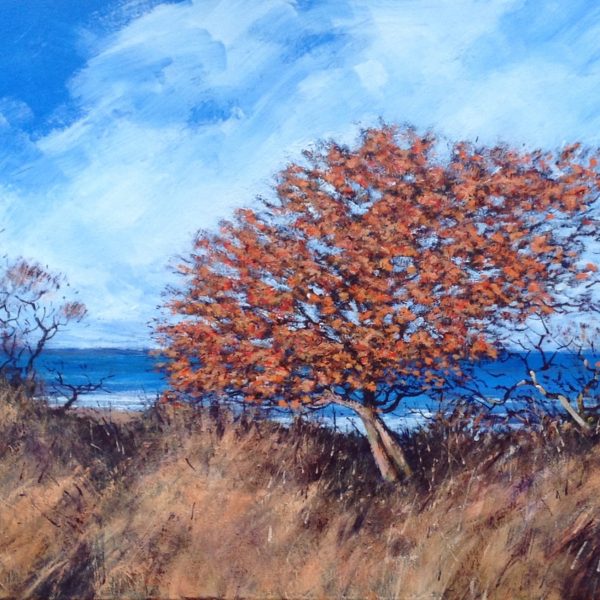 John Boak - Sea Buckthorn, Gullane Bay