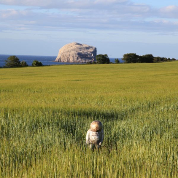 Arran Ross - Another Fine Day on Earth 2