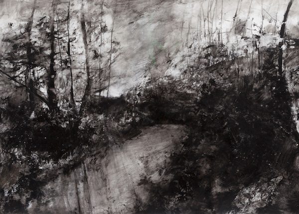 Dominique Cameron - First Snowdrops
