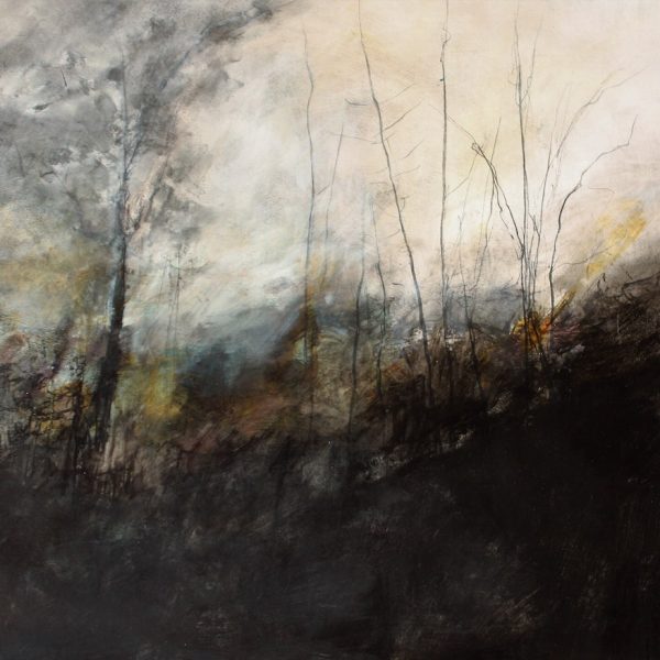 Dominique Cameron - Midwinter