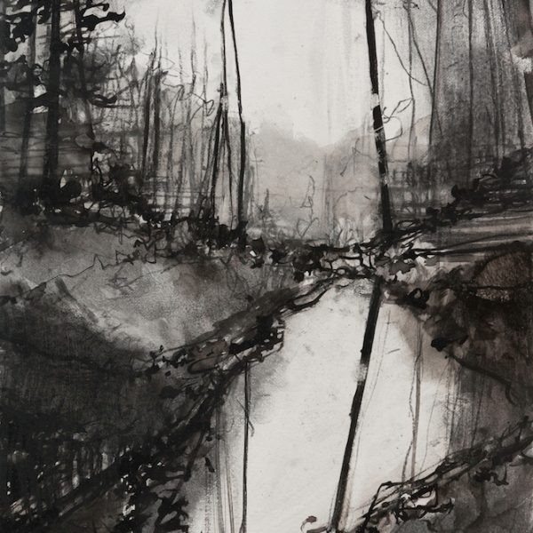 Dominique Cameron - The Sky in the Burn