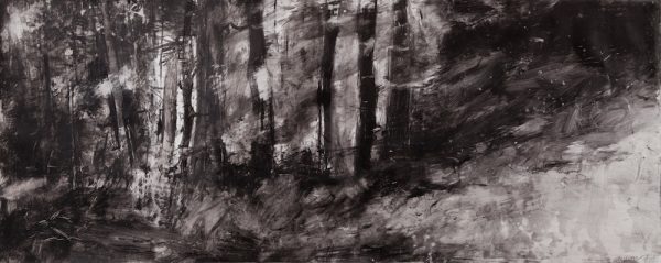 Dominique Cameron - This Hidden Place