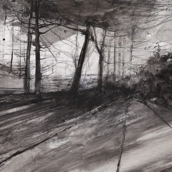 Dominique Cameron - Woods End