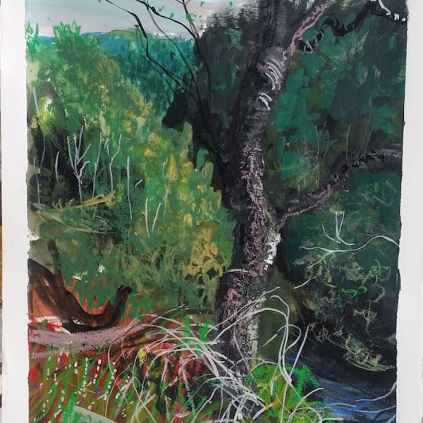 Neal Greig - Loch Katerine Series I