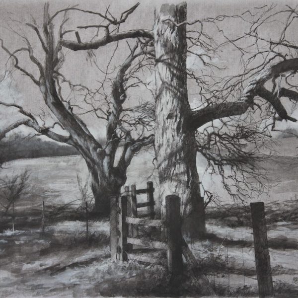 Trees by the Path at Penicuik House