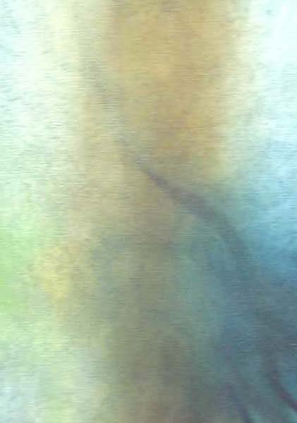 Neil Dallas Brown - Soporific Shore (Sweet Tern Song) 1992/3
