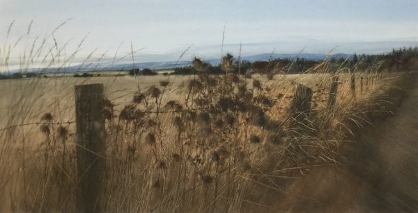 Late Autumn Field Edge, Denlethen