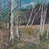Neal Greig - Silver Birches