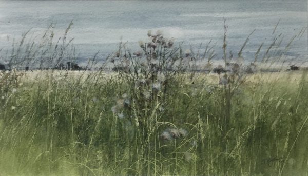 David E Johnston - A Summer Field Edge