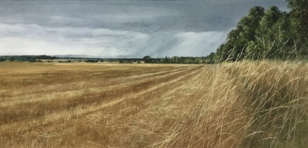 David E Johnston - Clearing from the West