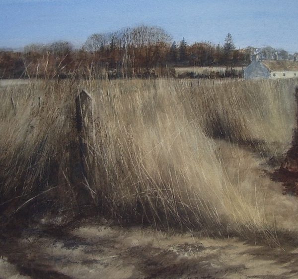 David E Johnston - Late Winter Light, The Mearns