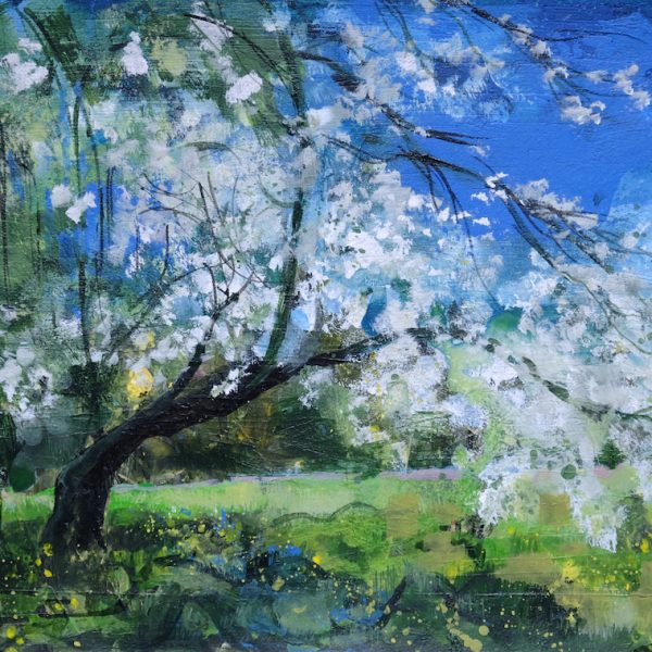 Ann Oram - Blossom Tree, Wemyss Castle, Acrylic on Paper, 12x16 inches, 1950, 1800 uf copy