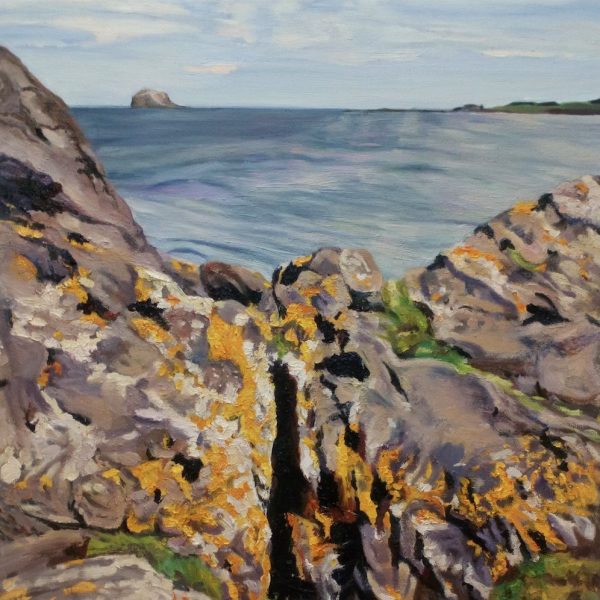 Crack in the Rocks, North Berwick