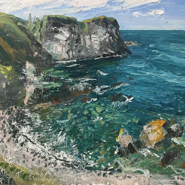 Neal Greig - St Abbs Head