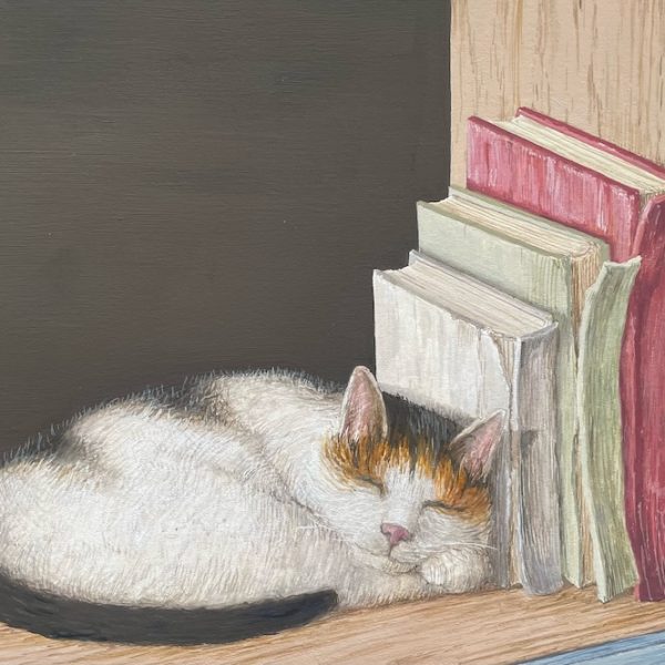 Saul Robertson