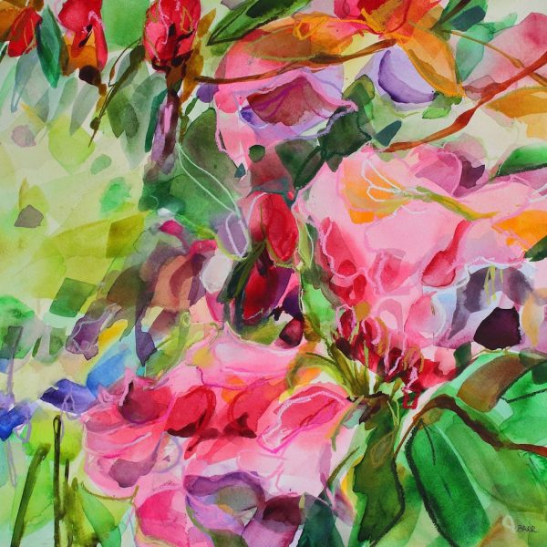 Shona Barr