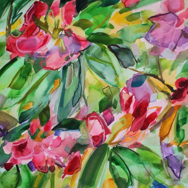 Shona M Barr