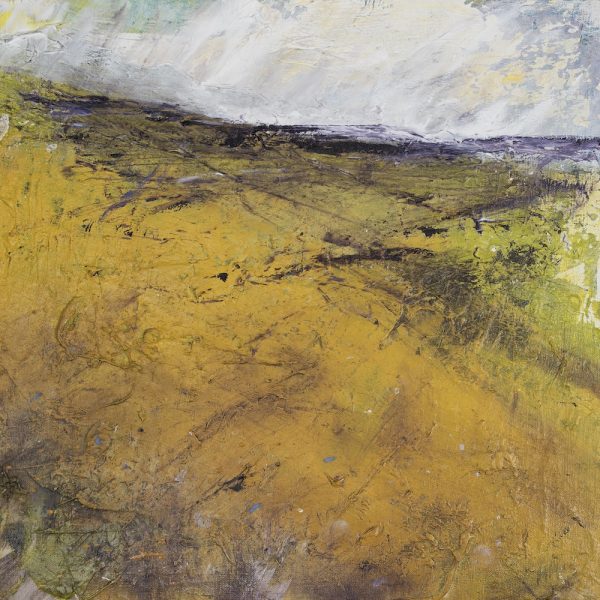 Andy Heald