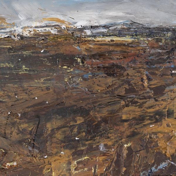 Andy Heald