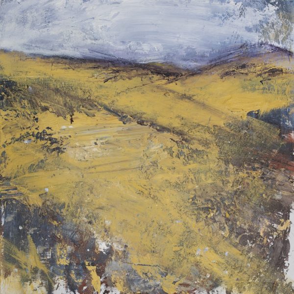 Andy Heald