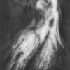 Tansy Lee Moir