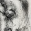 Tansy Lee Moir