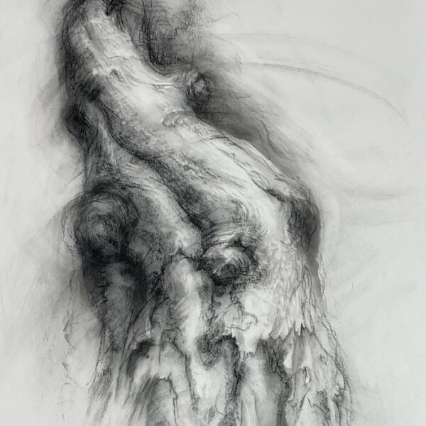 Tansy Lee Moir