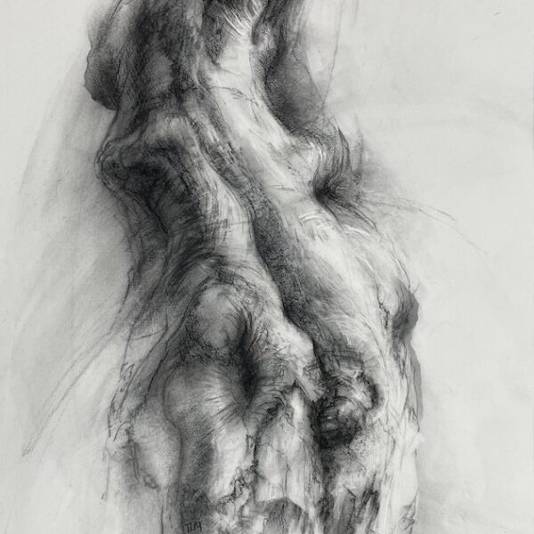 Tansy Lee Moir